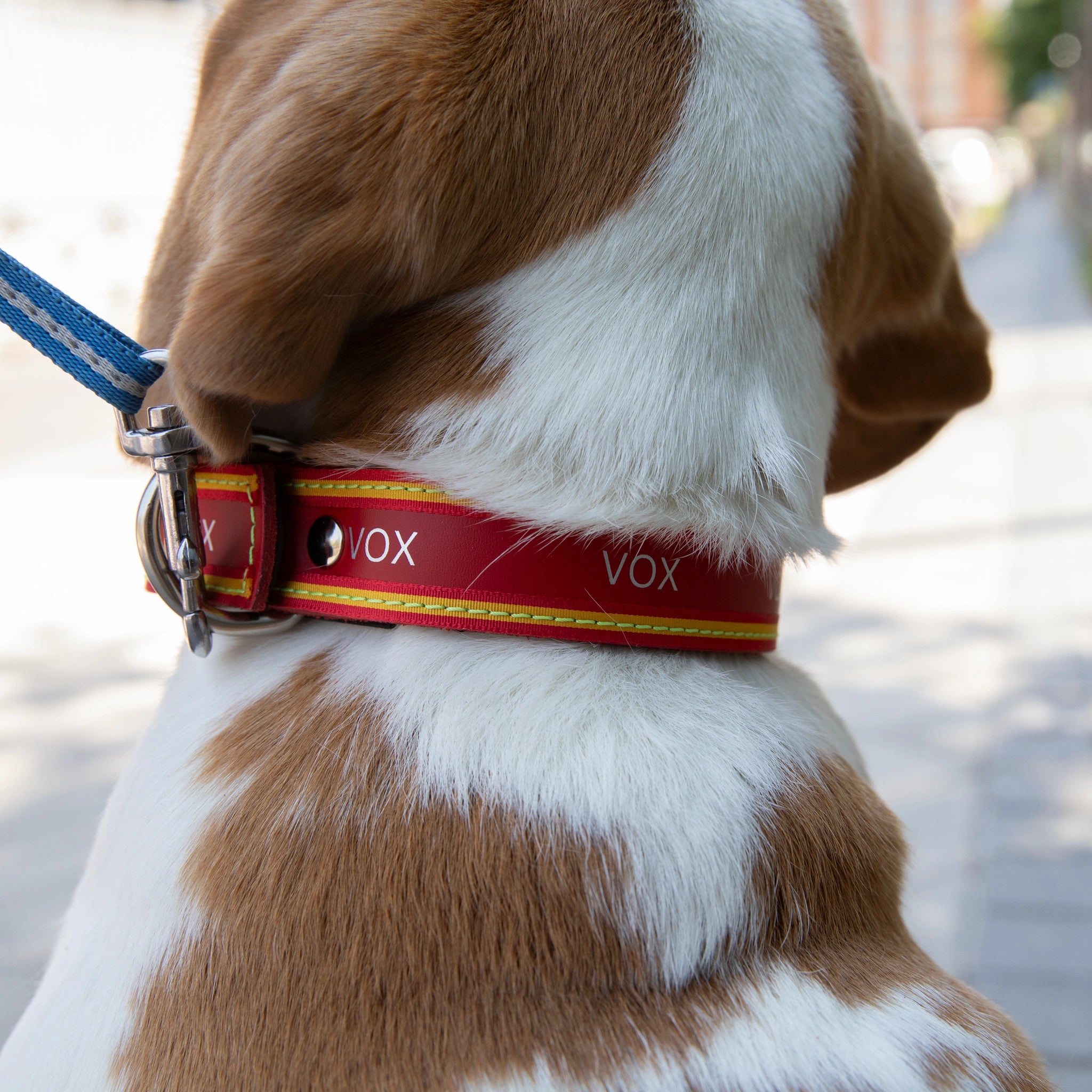 Collar de perro rojo con bandera