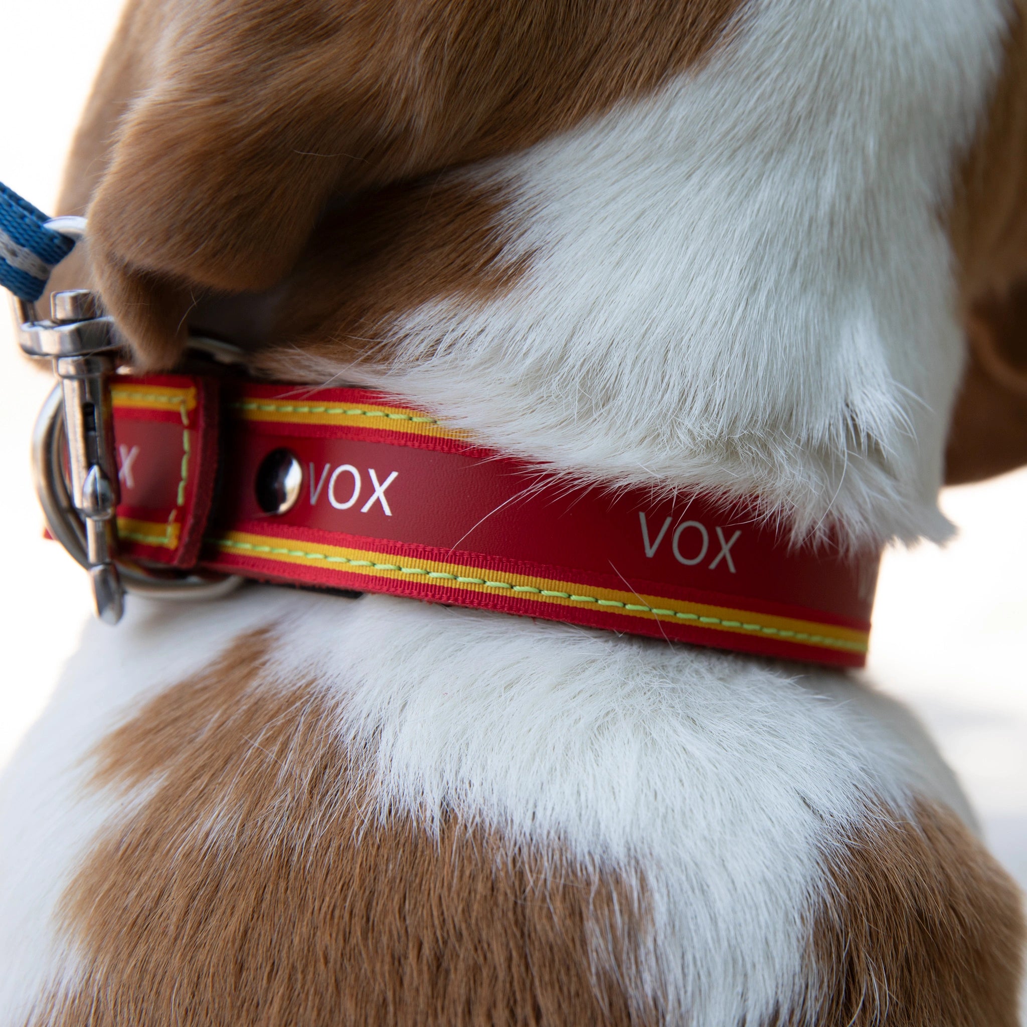Collar de perro rojo con bandera