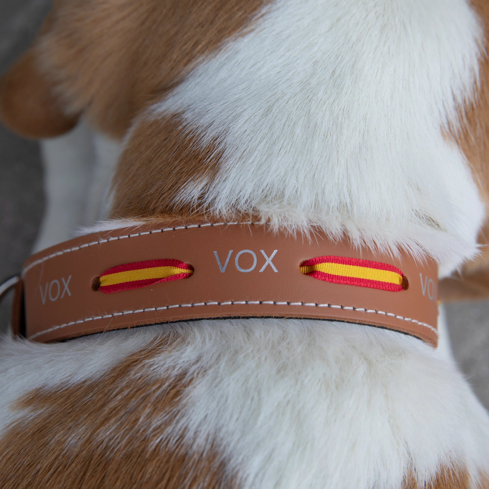 Collar de perro marrón bandera doble